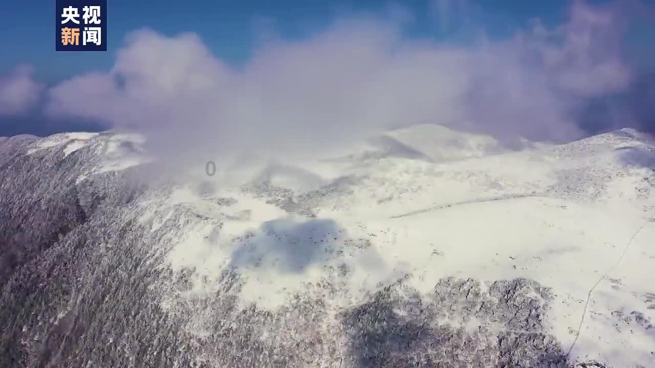 今年将在全国范围有序推进交叉执行工作