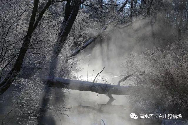 参加北约任务的首批西班牙军人抵达斯洛伐克